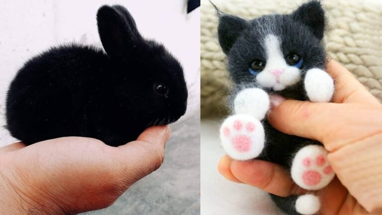 17 fotografii cu animale care te-ar putea lăsa confuz