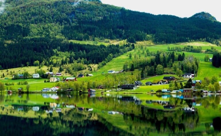 Norvegia devine prima țară din lume care interzice complet despăduririle