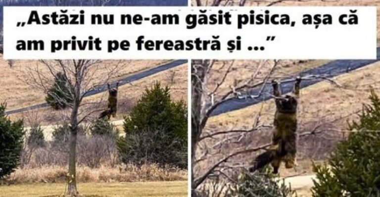 12 fotografii pe care trebuie sa le privesti cu atentie pentru a intelge povestea din spatele lor