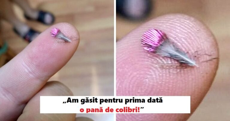 17 oameni care au găsit ceva special când se așteptau cel mai puțin