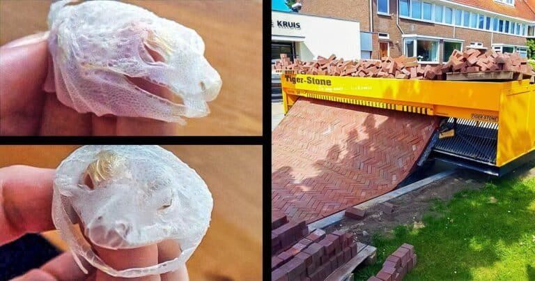 18 fotografii care te vor face sa te indoiesti de lucrurile din jurul tau