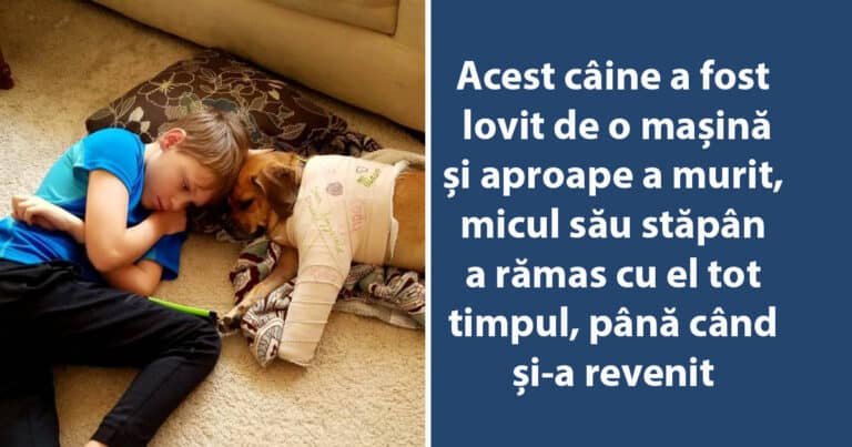 14 acte de bunătate care îți vor restabili credința în umanitate