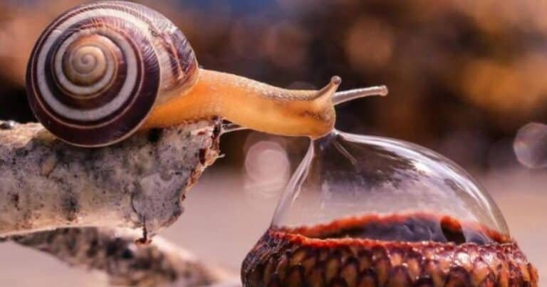 14 fotografii magnifice care ne schimbă starea de spirit instantaneu