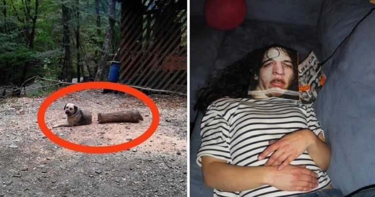 14 imagini pe care doar oamenii atenți le vor înțelege