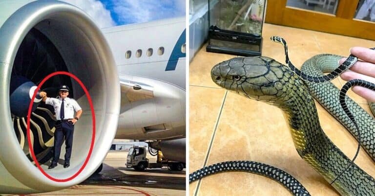 13  fotografii incitante care te pot lăsa fara cuvinte in doar cateva secunde