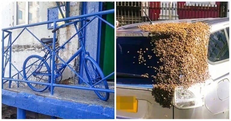 13 momente absurde pe care oamenii ar dori pur și simplu să le uite
