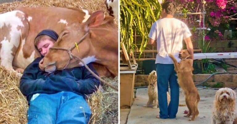 12 imagini captivante care ne vor face ziua mai frumoasă