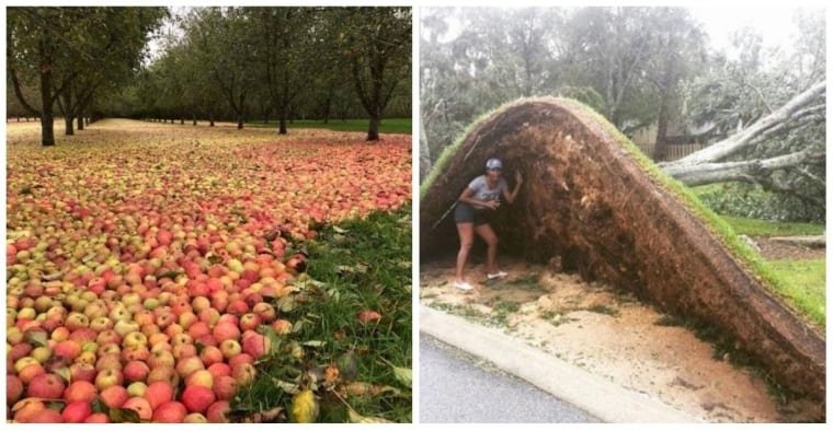 15 fotografii uimitoare care arată puterea nesfârșită a naturii