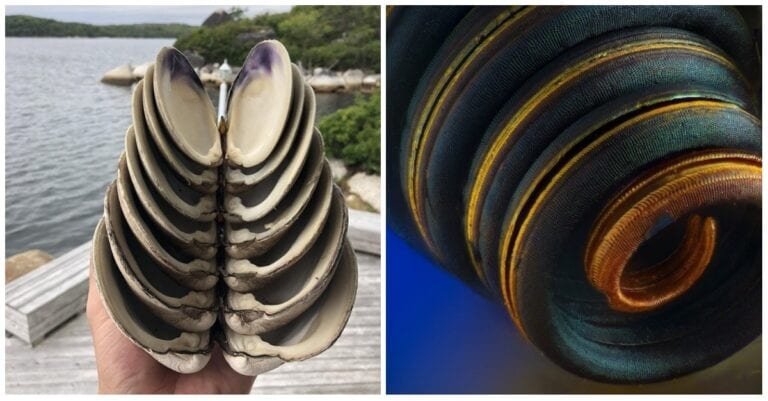 18 imagini uluitoare care vă vor oferi o altă perspectivă asupra lumii