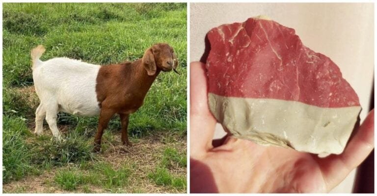 15 momente în care natura a decis să se joace cu nuanțele