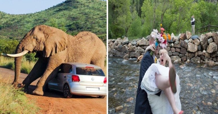 14 Oameni care credeau că vor avea o zi grozavă, dar soarta a avut alte planuri