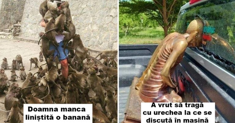 16 momente amuzante care ne-ar putea înveseli ziua