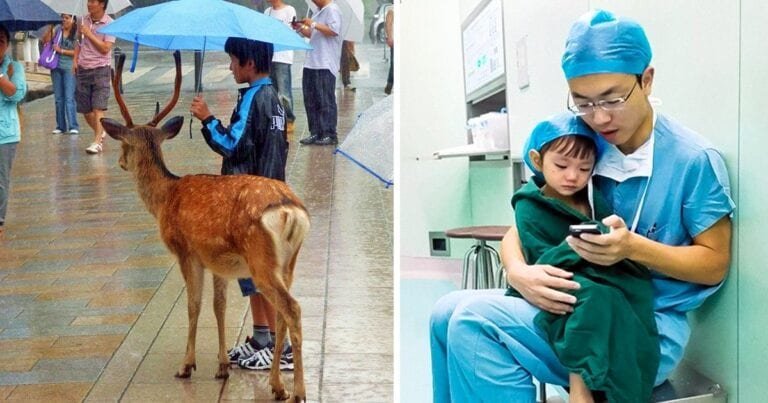 20 de oameni care ne reamintesc să nu ne pierdem credința în umanitate