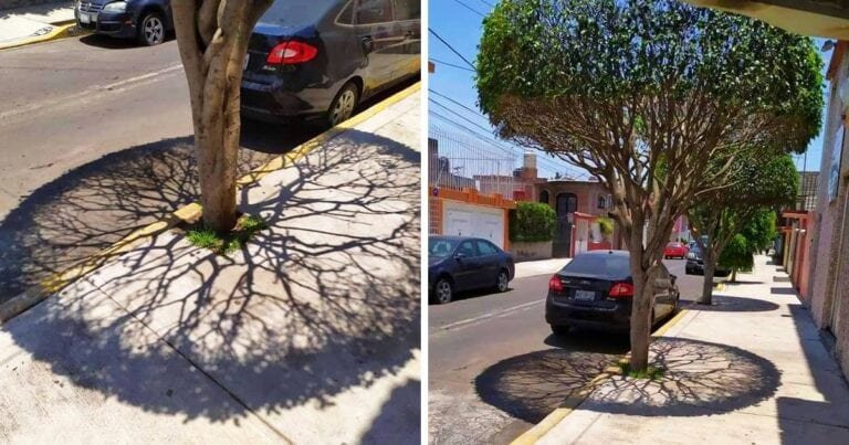 19 imagini în care Mama Natură ne-a făcut pielea de găină cu operele ei de artă