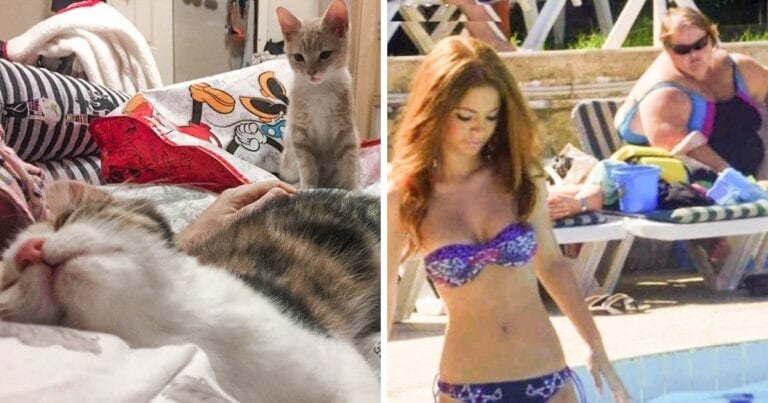 19 fotografii care demonstrează că gelozia vine în toate formele și dimensiunile