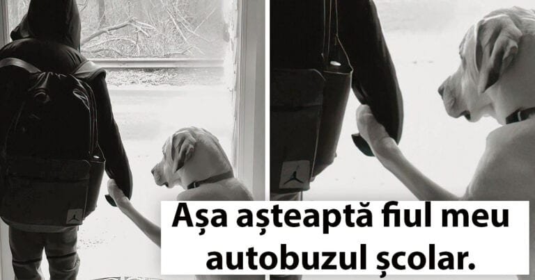 16 fotografii simpatice care îți vor face ziua mai bună