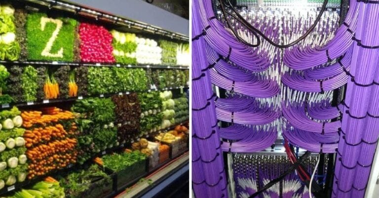 17 oameni talentați care au dat totul la locul de munca