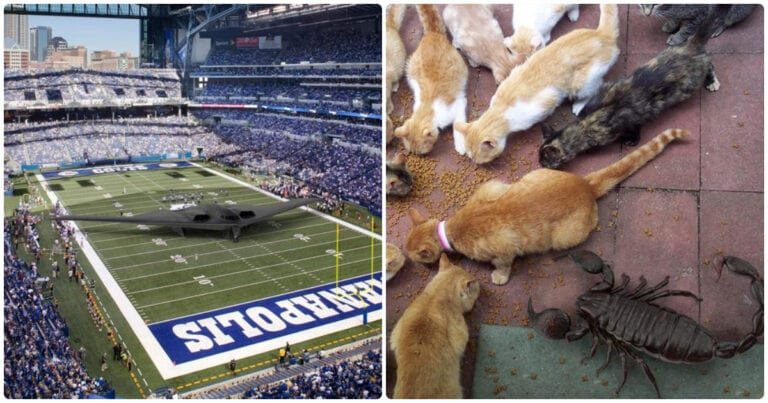 10 imagini create de un student pentru a arăta cât de gigantice sunt unele obiecte din lume