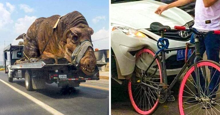 20 de fotografii în care radarul nostru de ciudățenii a fost la extrem