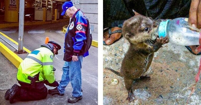 16 momente de bunătate care au făcut această lume un pic mai îngăduitoare