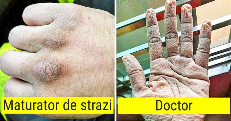 20 de oameni care ne-au arătat cu sinceritate cum sunt meseriile lor