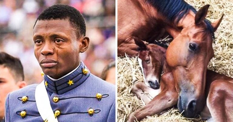 10 fotografii care au în spatele lor povești înduioșătoare