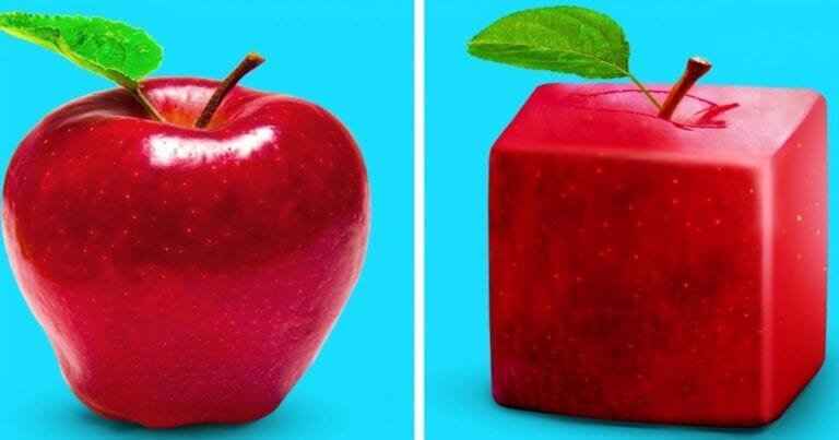 12 imagini cu cele mai scumpe alimente din lume