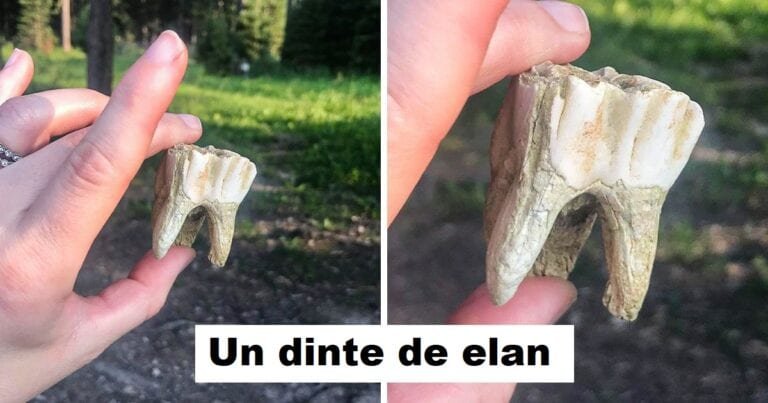 15 fotografii care ne arată lucrurile obișnuite văzute dintr-o cu totul altă perspectivă