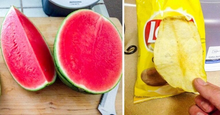 19 imagini cu oameni care au câștigat la loteria alimentară