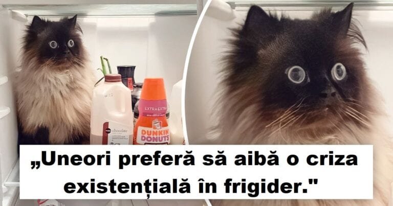 20 de animale care au nevoie de un manual de instrucțiuni pentru a putea fi înțelese