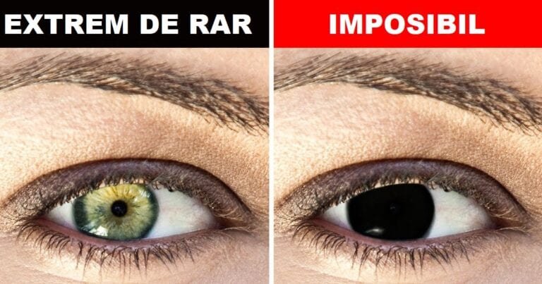 De ce nu există oameni cu ochi negri ?