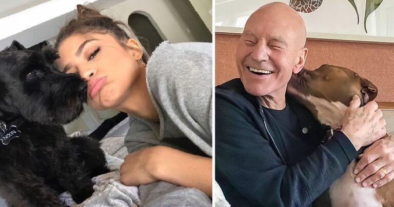 20 de celebritati care ne deomonstreaza ca dragostea pentru animalele lor de comapnie nu are limite