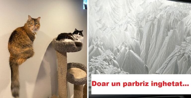 19 fotografii extrem de înșelătoare care te vor pune serios pe ganduri