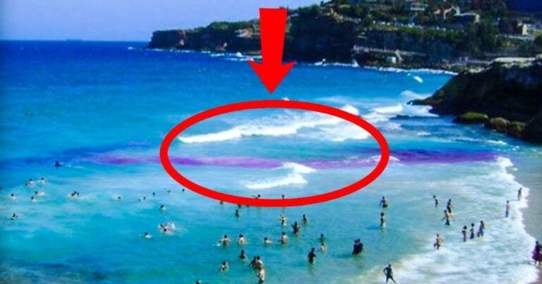 12 lucruri pe care ar trebui să le știi pentru a supraviețui în țările exotice