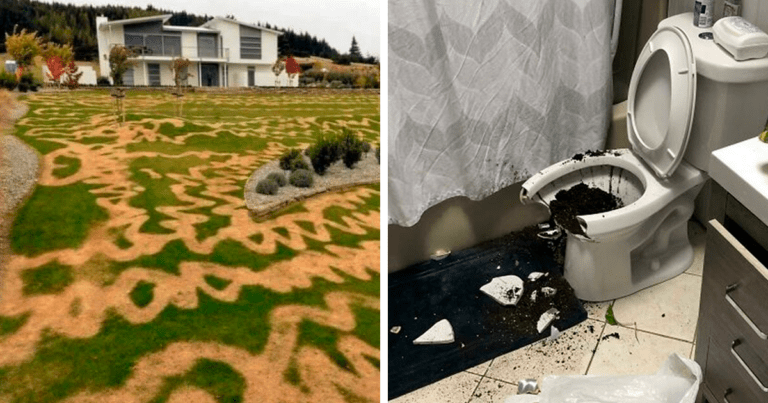 20 de imagini cu oameni care au avut o zi dezastruoasă