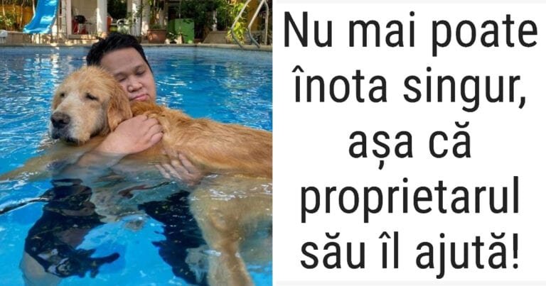 15 oameni care manifestă dragoste necondiționată față de animalele lor de companie