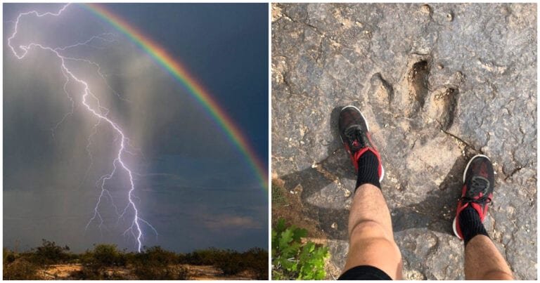 19 scene rare pe care cu greu le vei vedea în viață