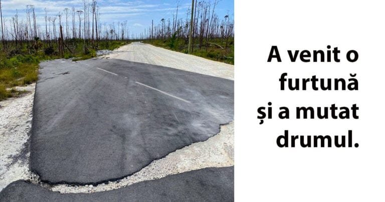 15 fotografii neobișnuite care ne dovedesc că natura nu va înceta niciodată să ne uimească