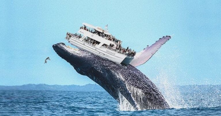 21 de imagini uimitoare care te vor lasa fără cuvinte