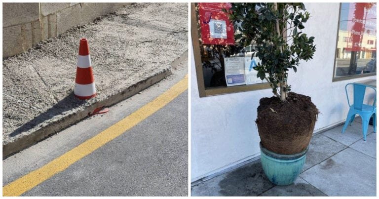 19 persoane care probabil au o profesie greșită