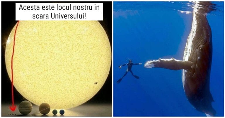 14 fotografii care demonstrează cât de mici suntem în această lume imensă