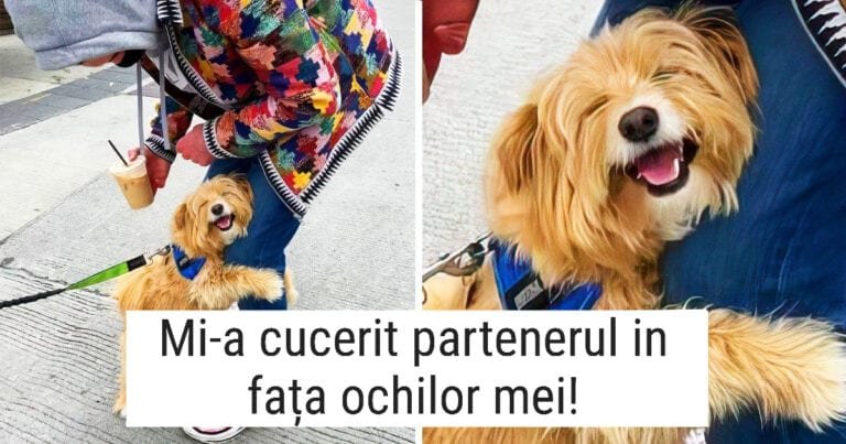 20 de poze care îți vor produce bucurie imediat ce le vezi