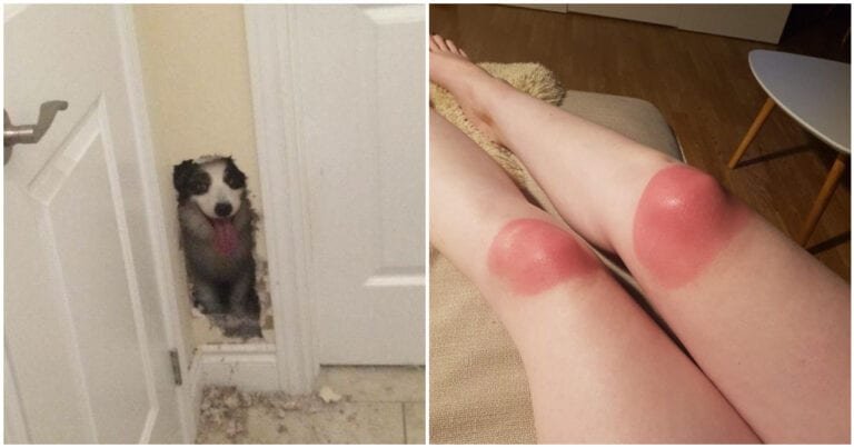 14 fotografii pe care le veți auzi strigând după „ajutor”!