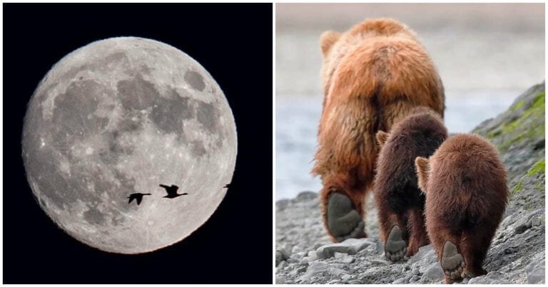 16 imagini uimitoare care au fost create chiar de zeița norocului