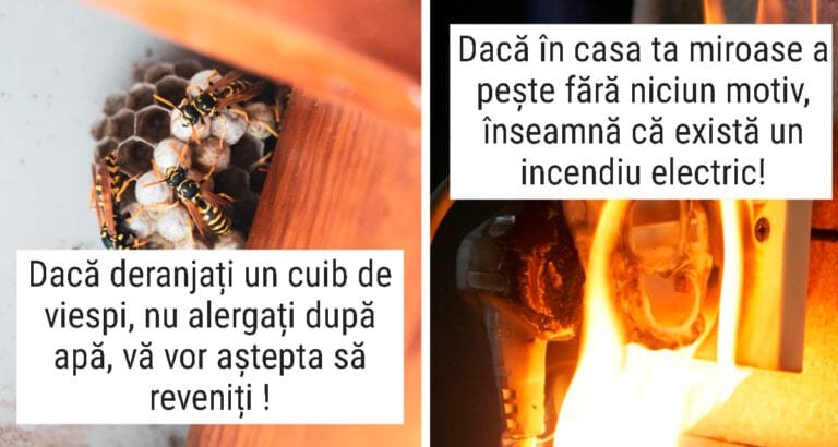 18 fapte pe care probabil nu le-ați știut , dar care vă pot salva viața