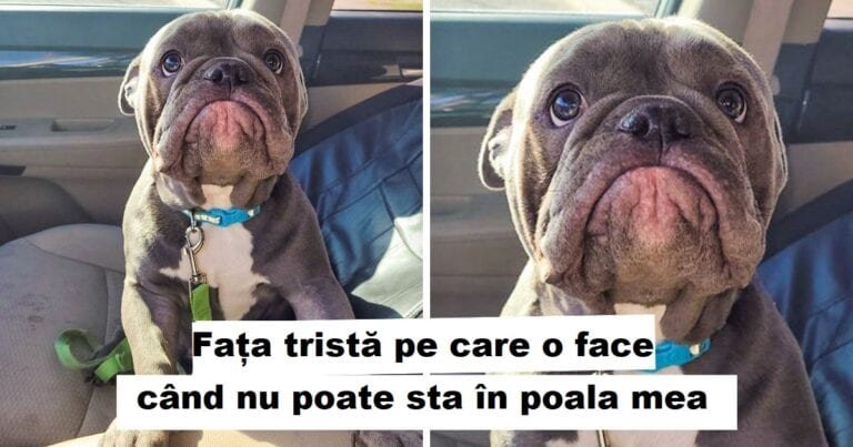 18 fotografii emotionante care cu siguranta iti vor aduce zambetul pe buze