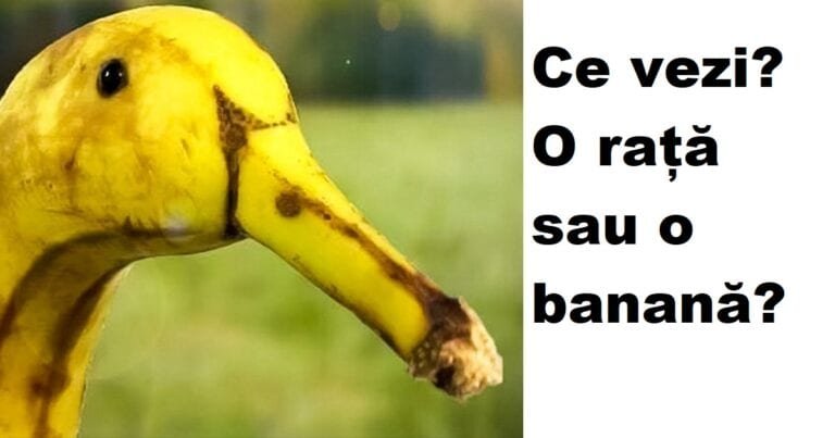15 fotografii care ne pun serios pe ganduri atunci cand le privim pentru prima data