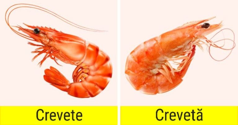 15 alimente care sunt adesea confundate între ele