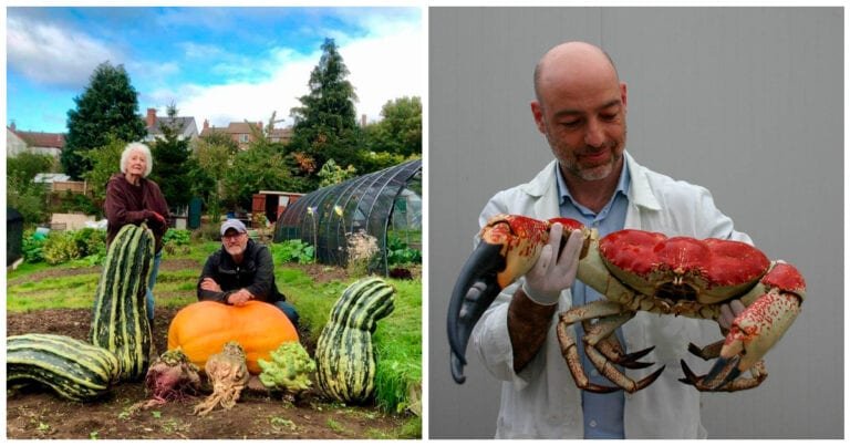 15 exemple clare și convingătoare care ne arata cât de mari pot fi unele lucruri din jurul nostru