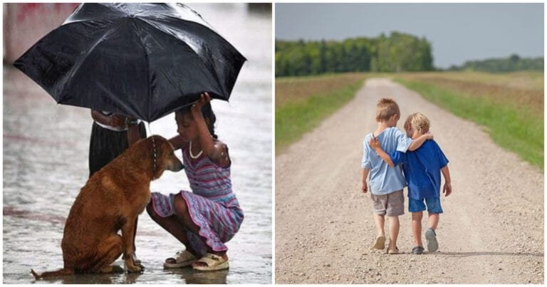 Cea mai bună serie de 15 imagini care îti vor înveseli sufletul